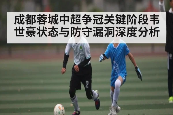 成都蓉城中超争冠关键阶段韦世豪状态与防守漏洞深度分析